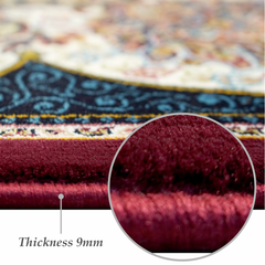 Shiraz 2 Classical Carpet Multi and Maroon